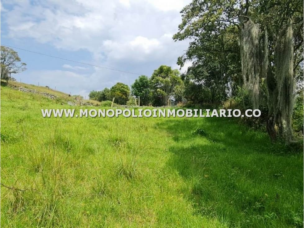 LOTE EN VENTA - SECTOR PAJARITO, SAN CRISTOBAL COD: 24437 - 1