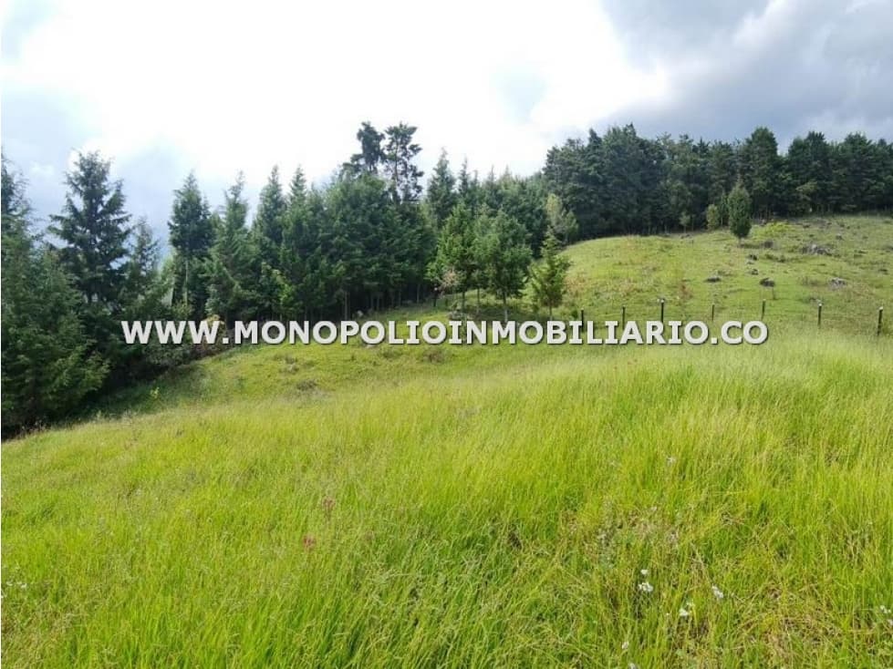 LOTE EN VENTA - SECTOR PAJARITO, SAN CRISTOBAL COD: 24436 - 1