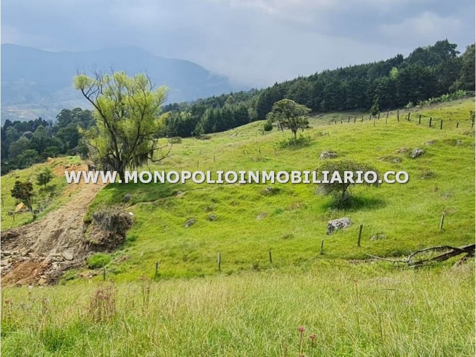 LOTE EN VENTA - SECTOR PAJARITO, SAN CRISTOBAL COD: 24435 - 1
