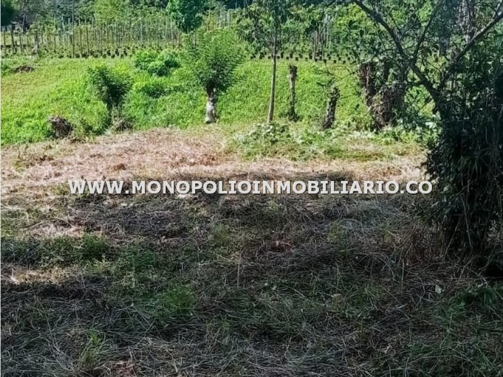 LOTE EN VENTA - SECTOR EL MORO, BETULIA COD: 24717 - 1