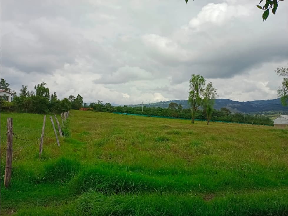 VENDO - ARRIENDO LOTE PLANO VEREDA SABANA - VILLA DE LEYVA - 1