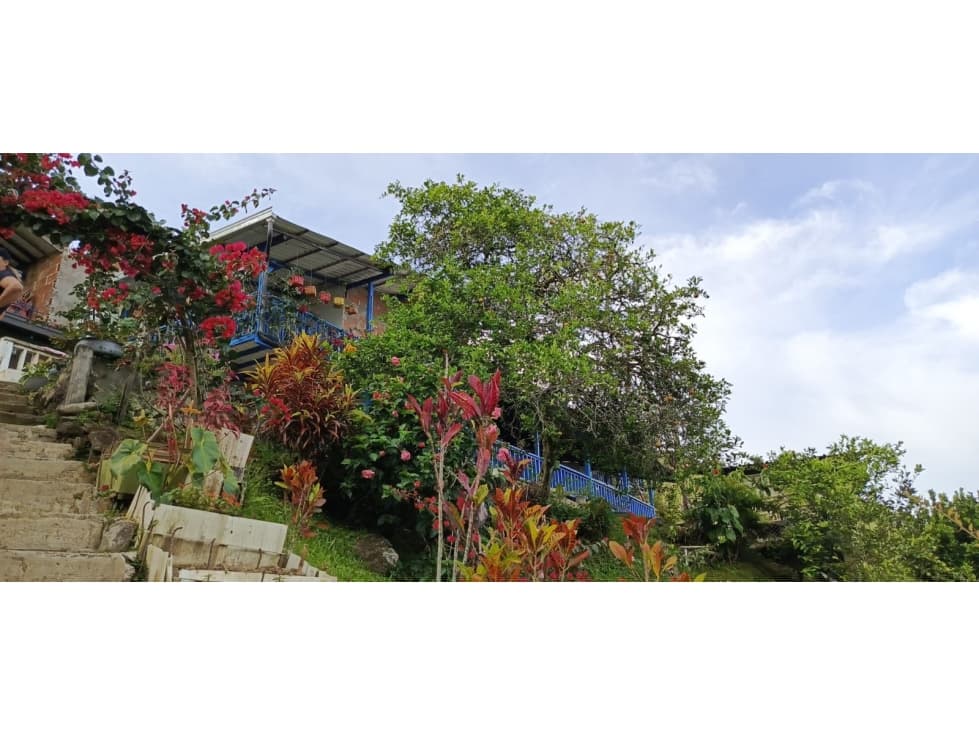 Finca en venta en Cisneros Antioquia - 1