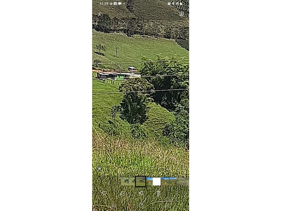 Se Vende Finca de Productora en la Vereda el Aguacate, Urrao - 1