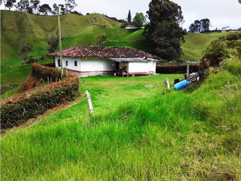 Vendo casa finca, en La Unión Antioquia cerca al casco urbano 35.000m - 1