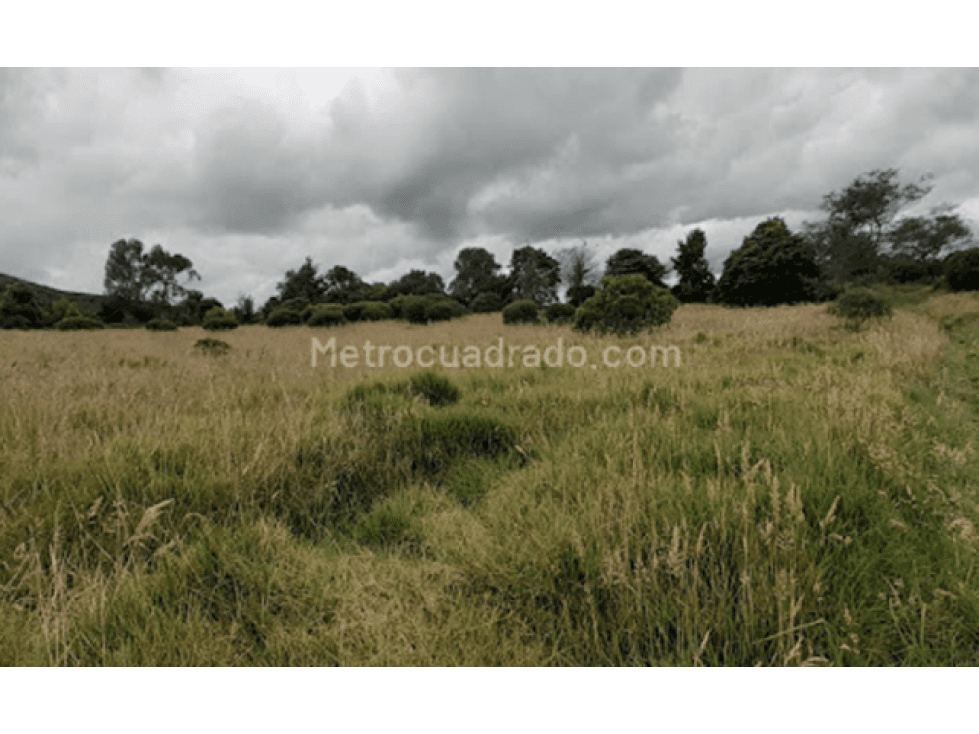 YERBABUENA - SOPÓ VENDEMOS LOTE - 1