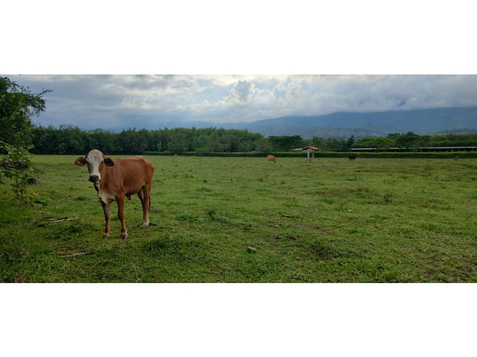 VENTA LOTE POTRERITO - 1