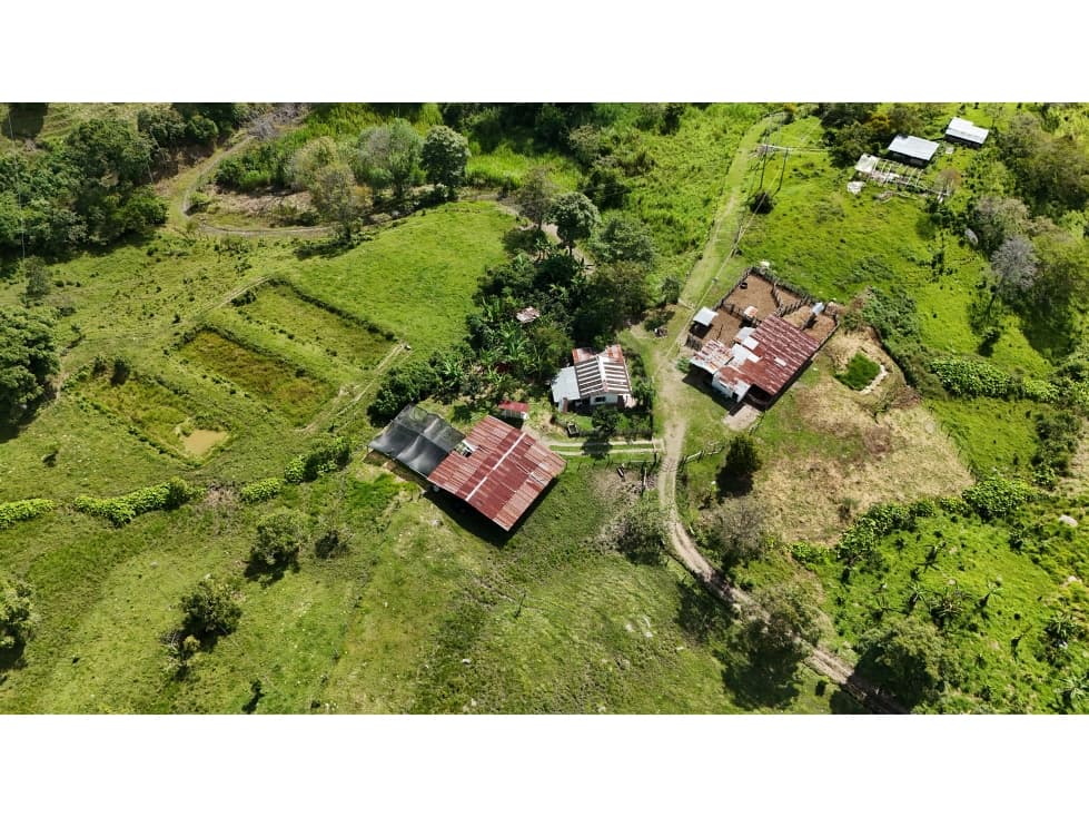 Hacienda Ganadera y Cafetera en venta de 74 Fanegadas - 1