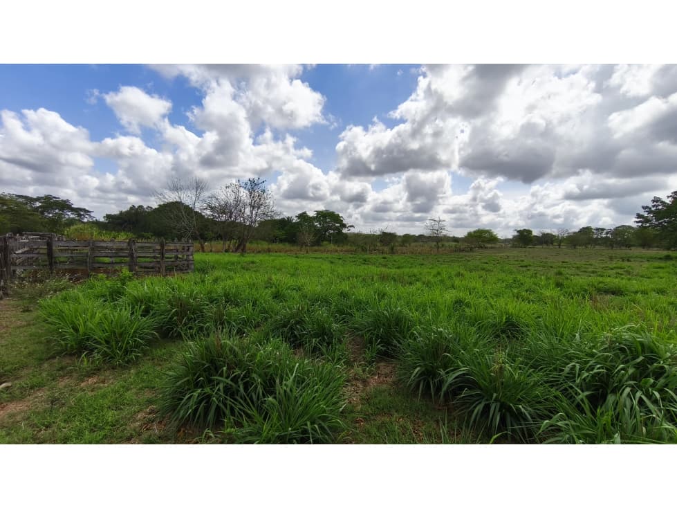 VENTA DE FINCA EN GALERAS SUCRE - 1