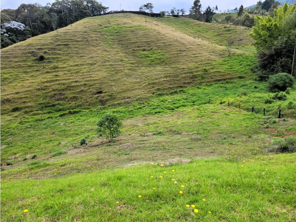 VENTA DE LOTES EN LA VEREDA LA MARQUESA DE YOLOMBO. - 1