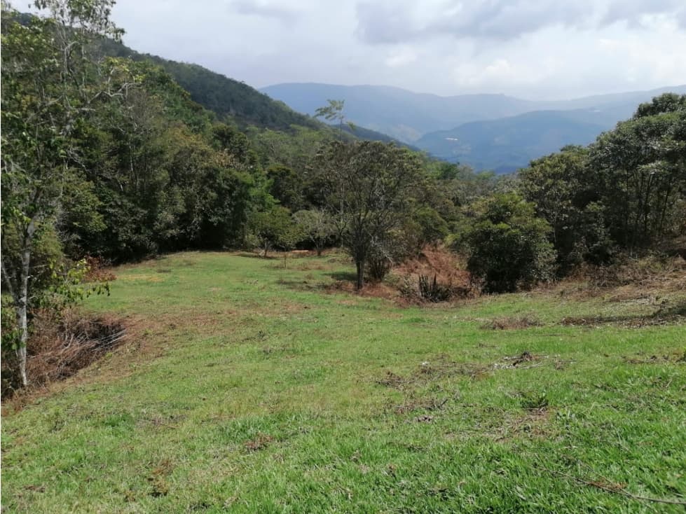 OSV/VENTA LOTE EN EL MUNICIPIO DE GOMEZ PLATA ANTIOQUIA - 1