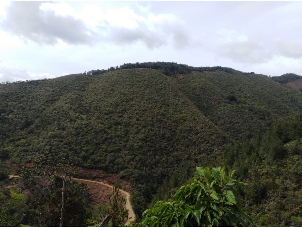 Venta lote Urrao Suroeste antioqueño - 1
