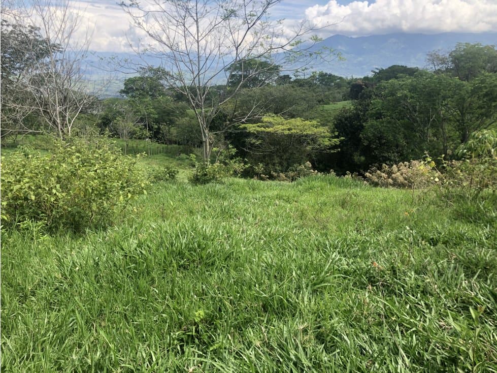 Venta de lote en Tamesis - Suroeste Antioqueño - 1