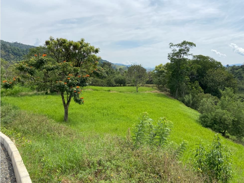 Venta de lotes Suroeste Ciudad Bolívar -Antioquia - 1
