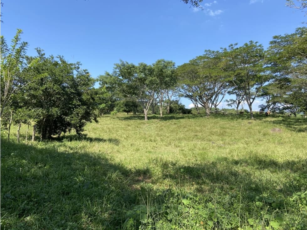 Venta de lote en Puente Iglesias - Suroeste Antioqueño - 1