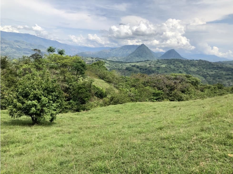 Venta de lote en Tamesis - Suroeste - 1