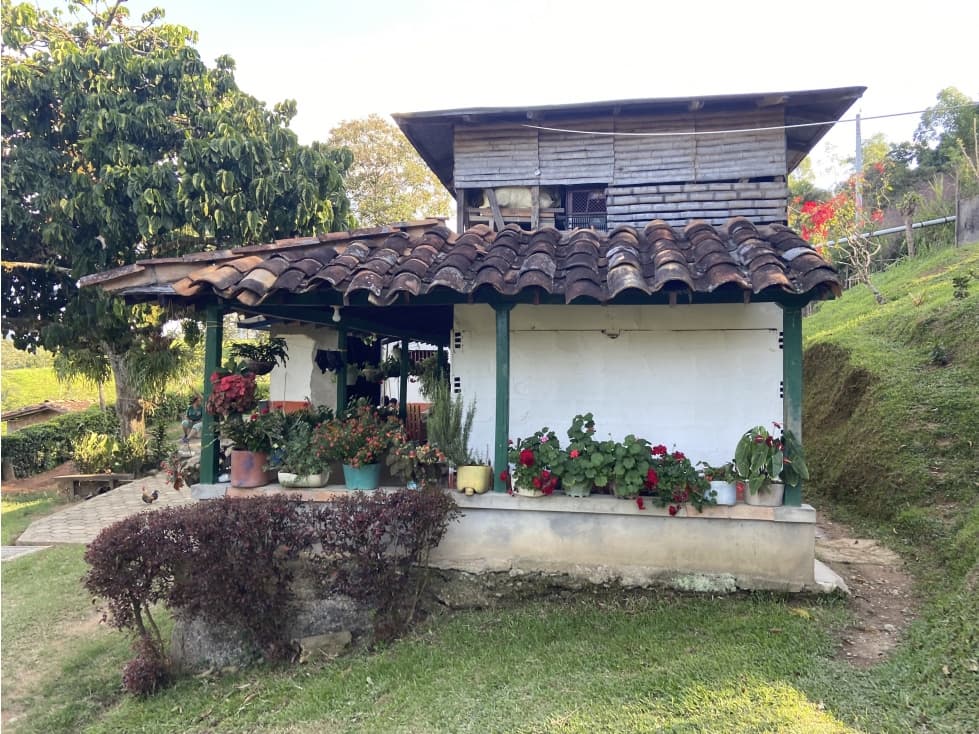 Venta finca cafetera Hispania - 1