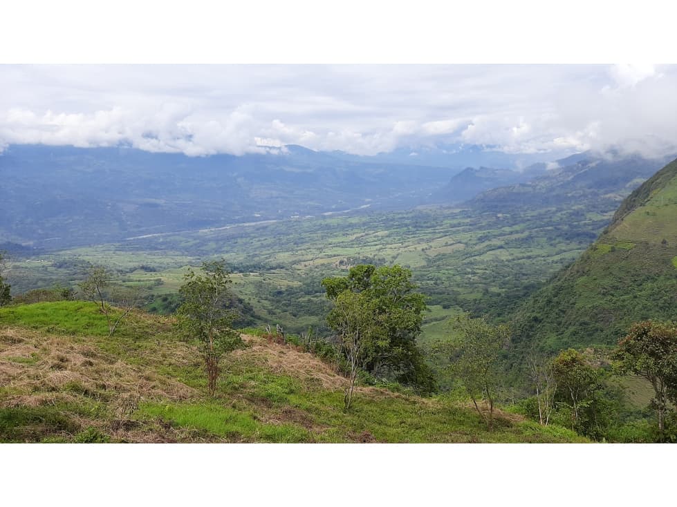 Venta Lotes Fredonia suroeste antioqueño - 1