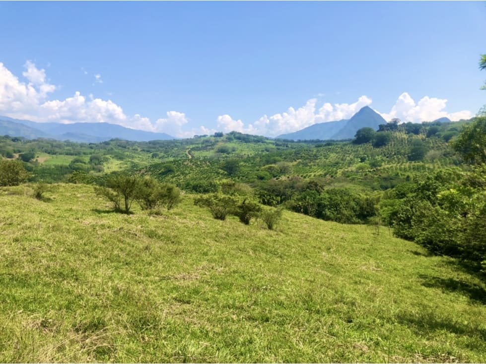 Venta de lote Puente Iglesias - Suroeste Antioqueño - 1