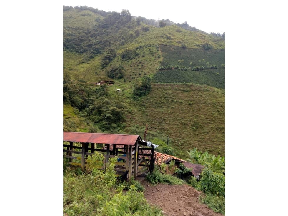 Venta finca cafetera Ciudad Bolivar Suroeste Antioqueño - 1