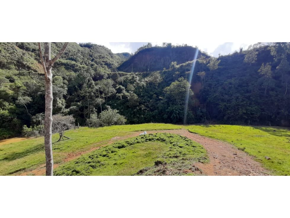 Venta finca en Urrao Suroeste Antioqueno - 1