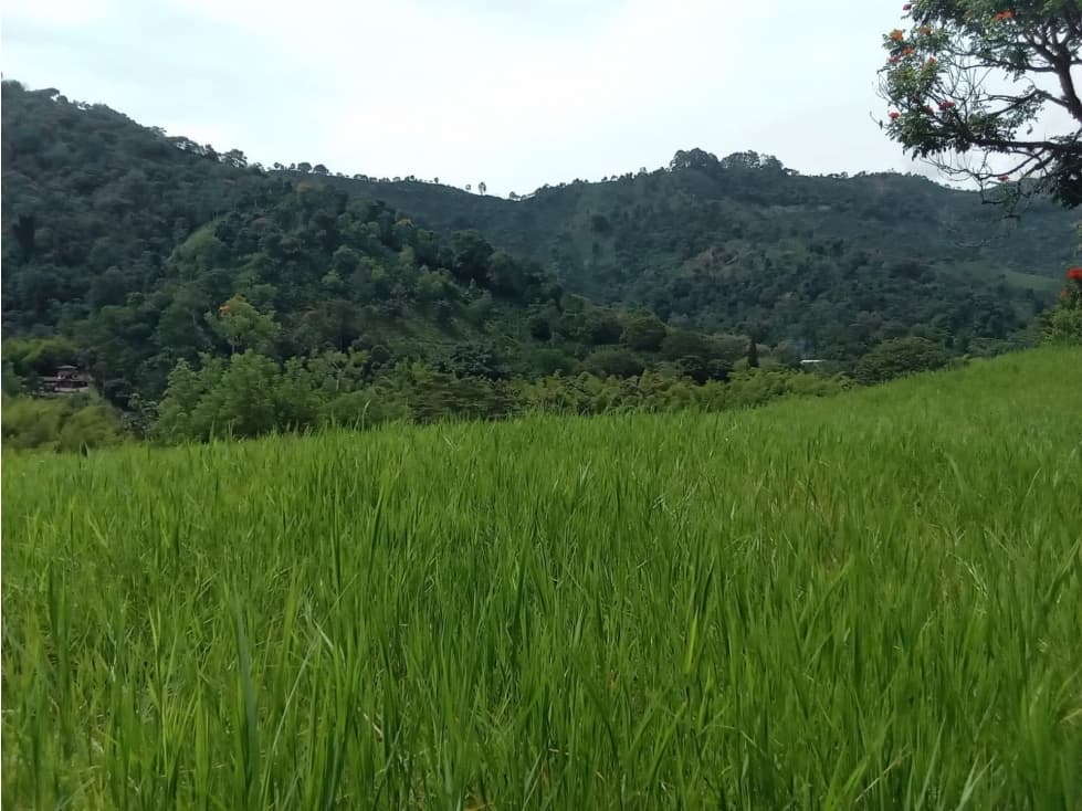 lote en Parcelacion Suroeste de Antioquia - 1