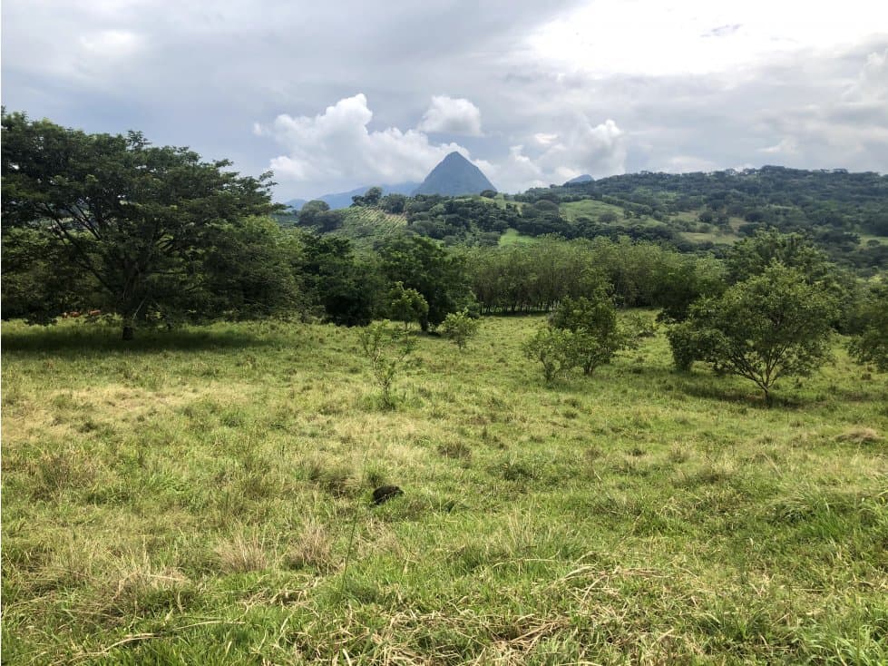 Venta lote Tamesis - Suroeste Antioqueño - 1