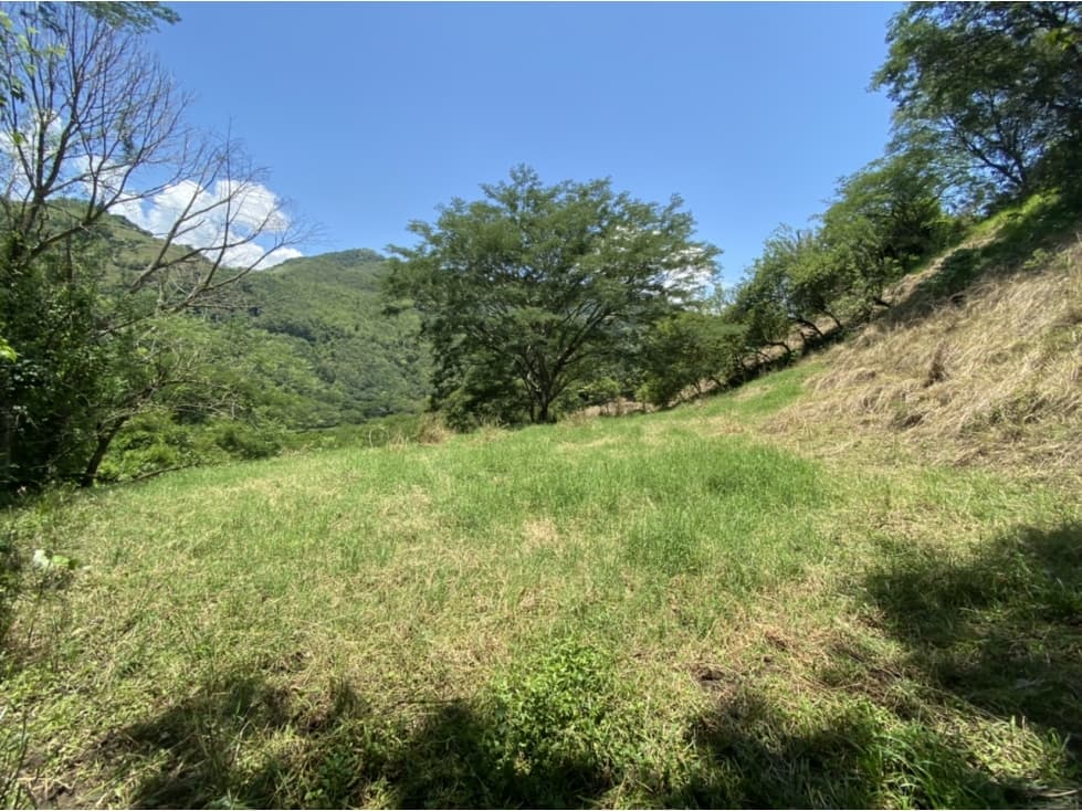 Venta de lote en Bolombolo - Suroeste Antioqueño - 1