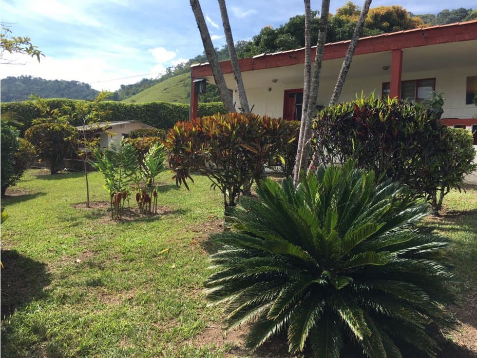 Venta de finca Hispania - Suroeste Antioquia - 1