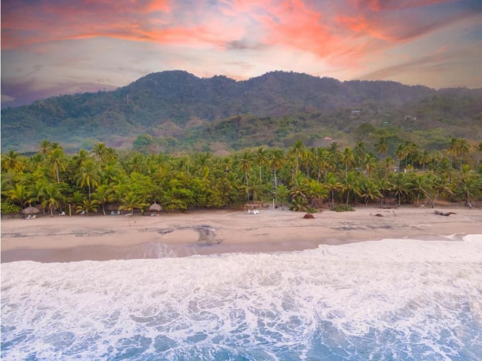 Eco Hotel en Venta Palomino, 100 m de Playa Privada, Palomino - 1