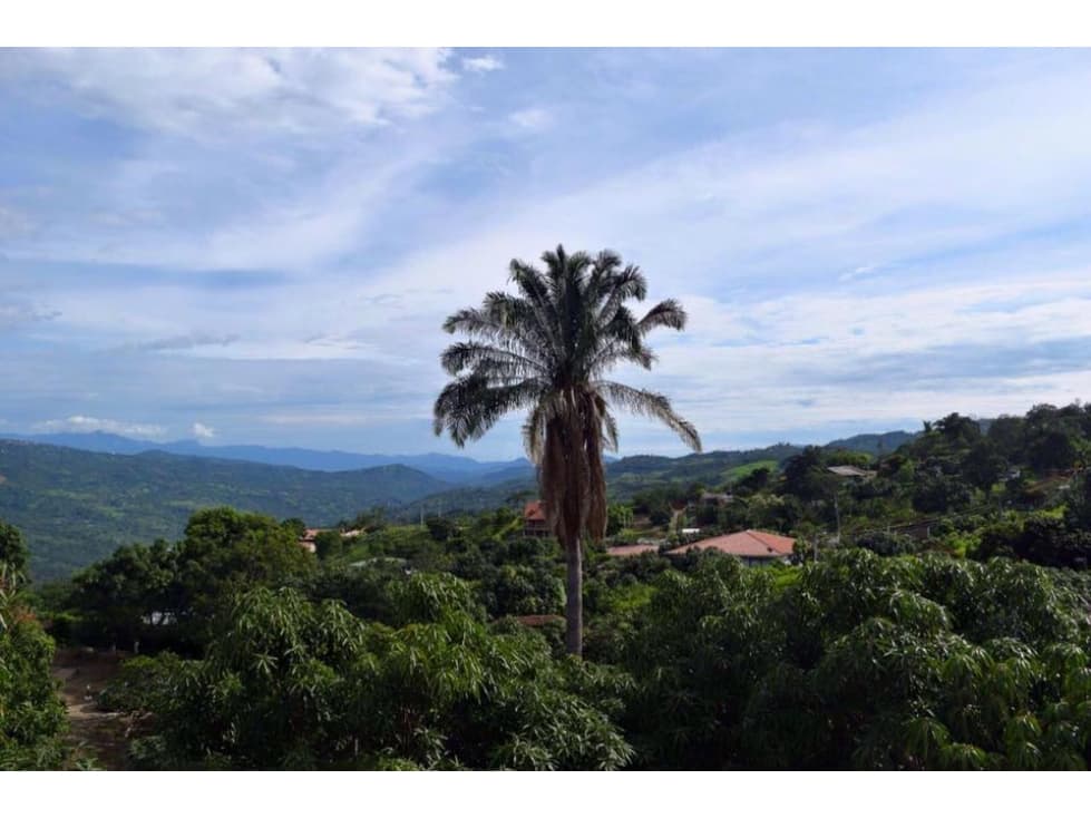 Finca El Kiosko - 1