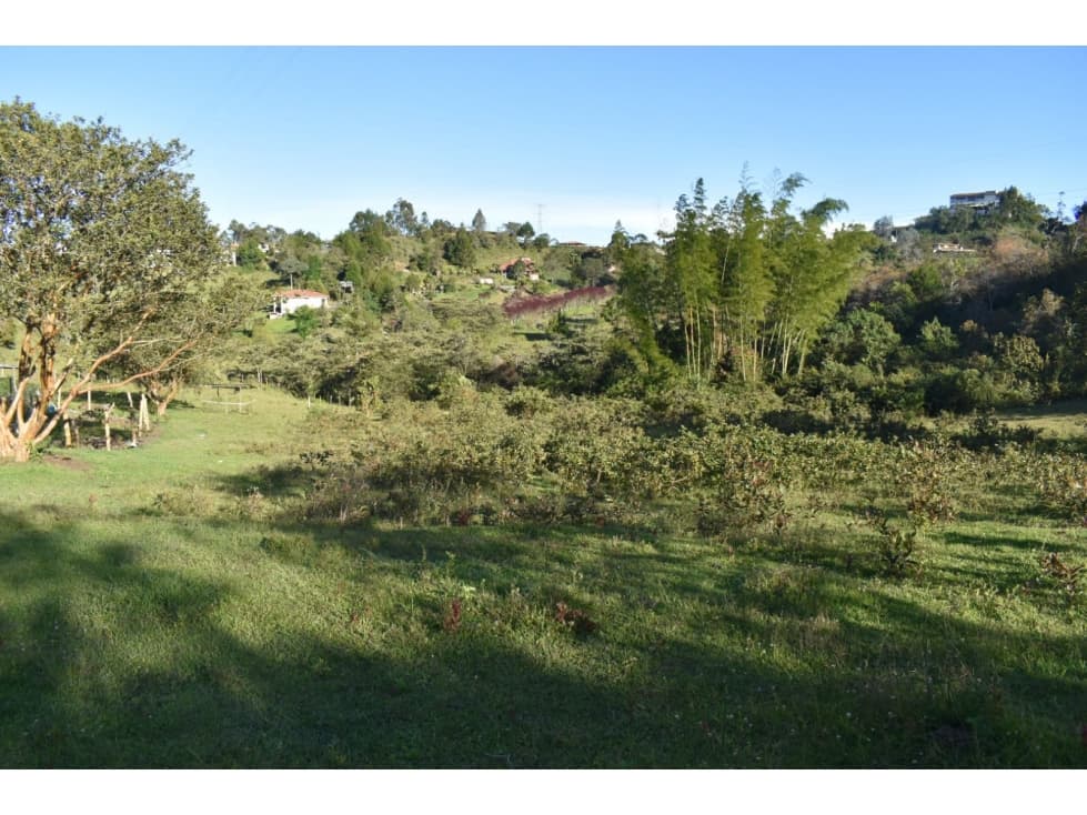 Venta de Lote Rionegro Vereda Abreo - 1