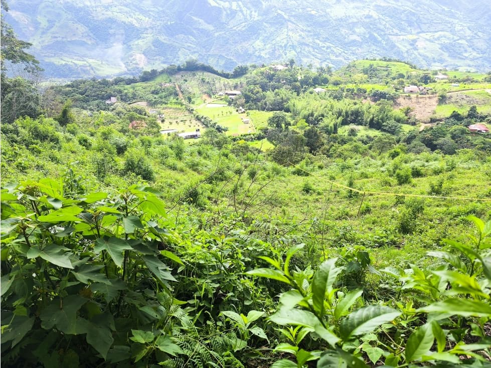 VENDE LOTE EN QUEBRADANEGRA - 1