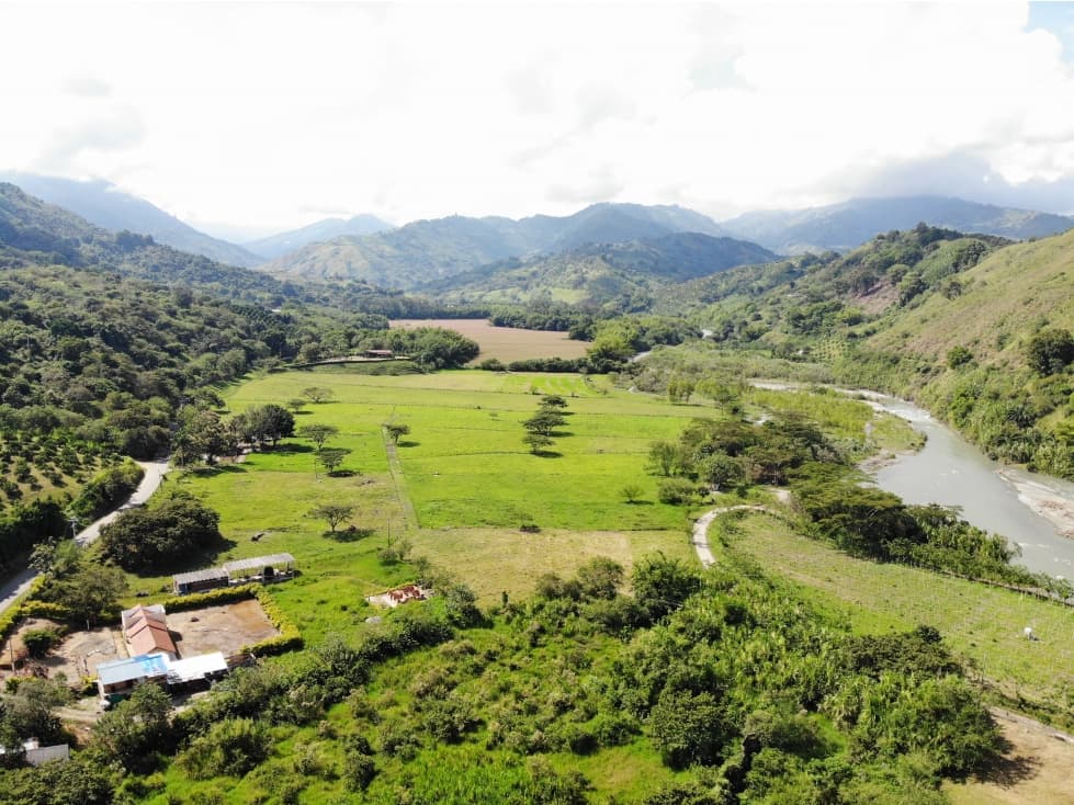 Finca plana en Barragan Quindío 26 Cuadras - 1