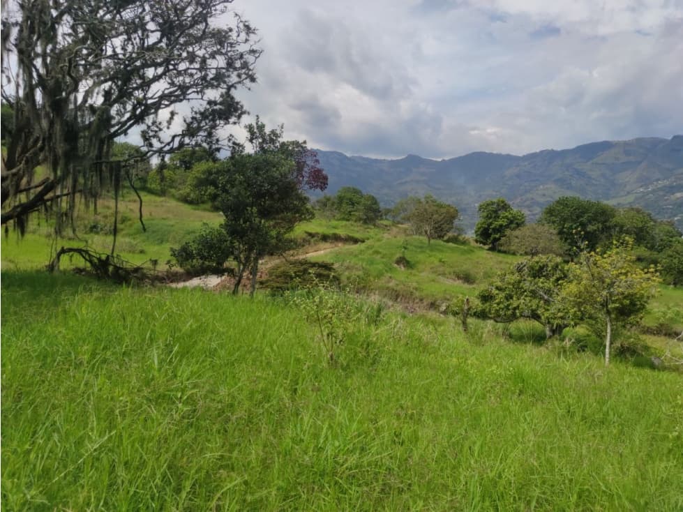 Lote en Girardota vereda el totumo - 1