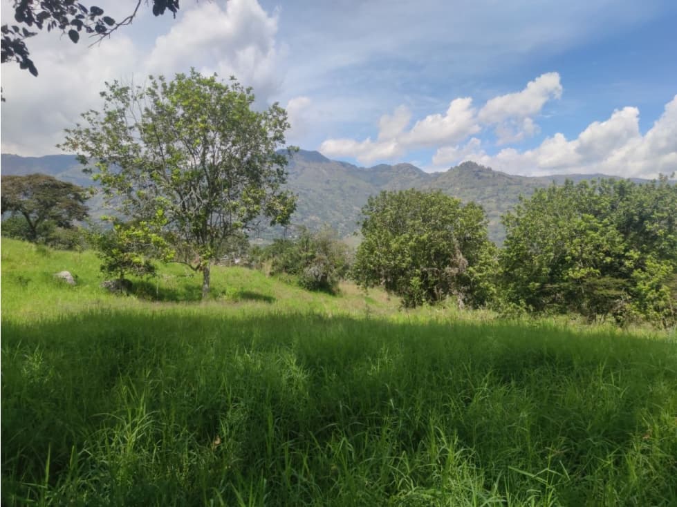 Lote en Girardota vereda el totumo - 1