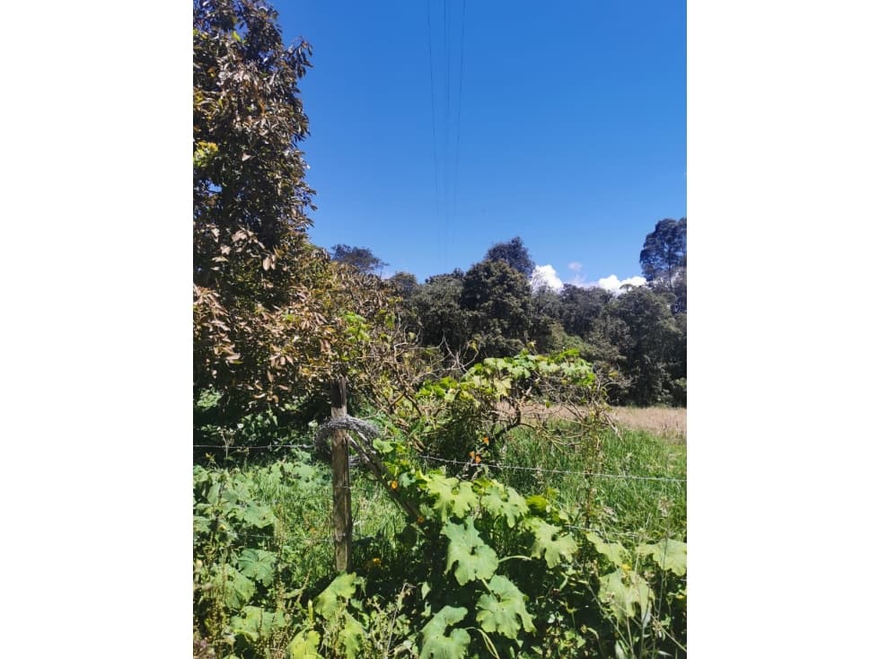 SE VENDE LOTE EN SANTA ELENA, ANTIOQUIA - 1