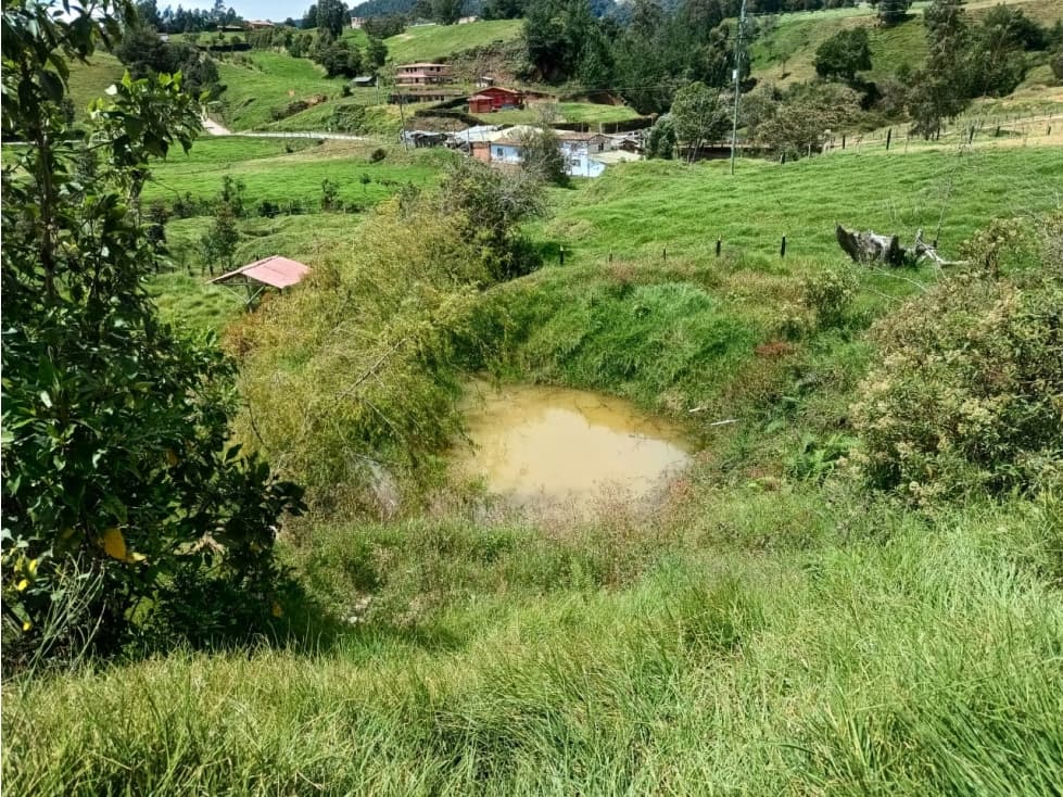 Lotes en Venta Belmira, Antioquia - 1