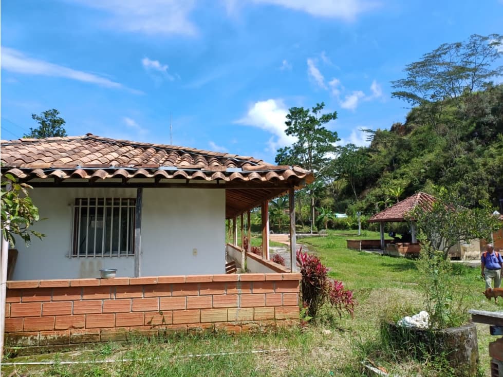 Venta de Finca en Yolombo, Antioquia - 1