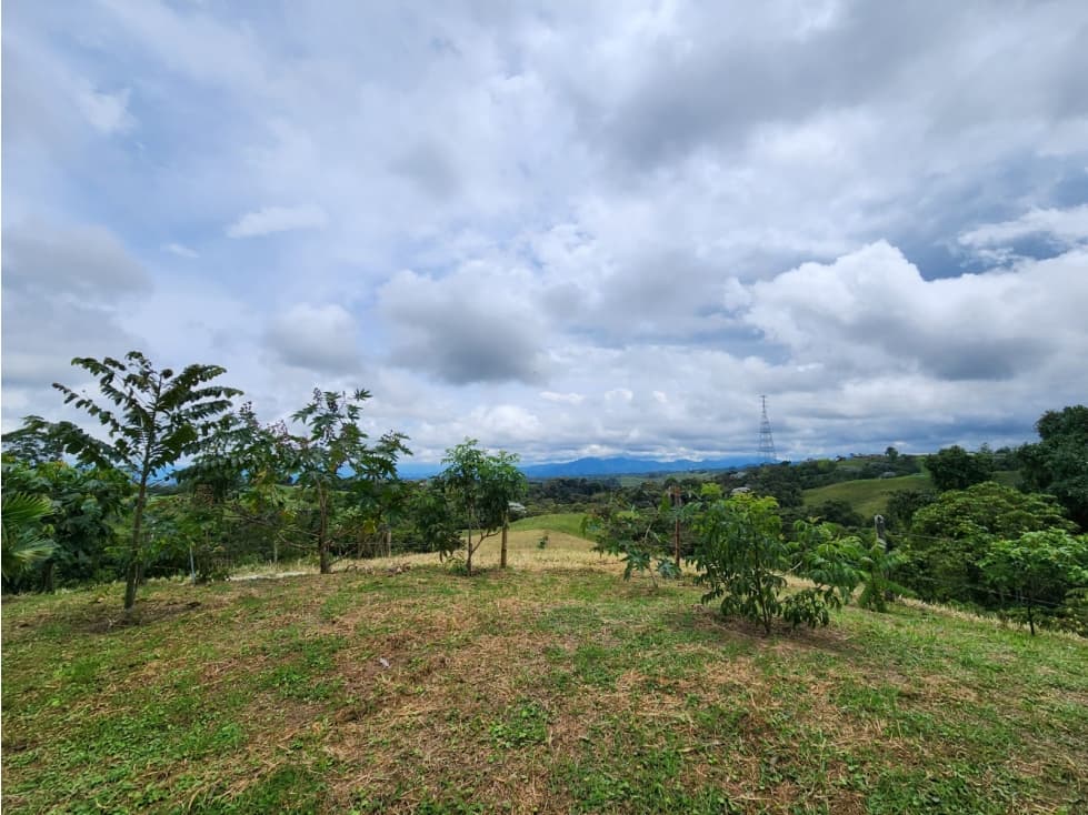 Finca en Venta en Filandia - Vía La India - 1