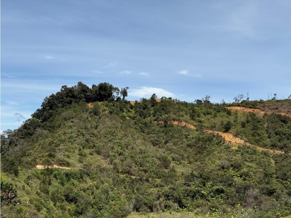 Amazing 4.000 m2 lot in Concepción Panoramic view and high potential - 1