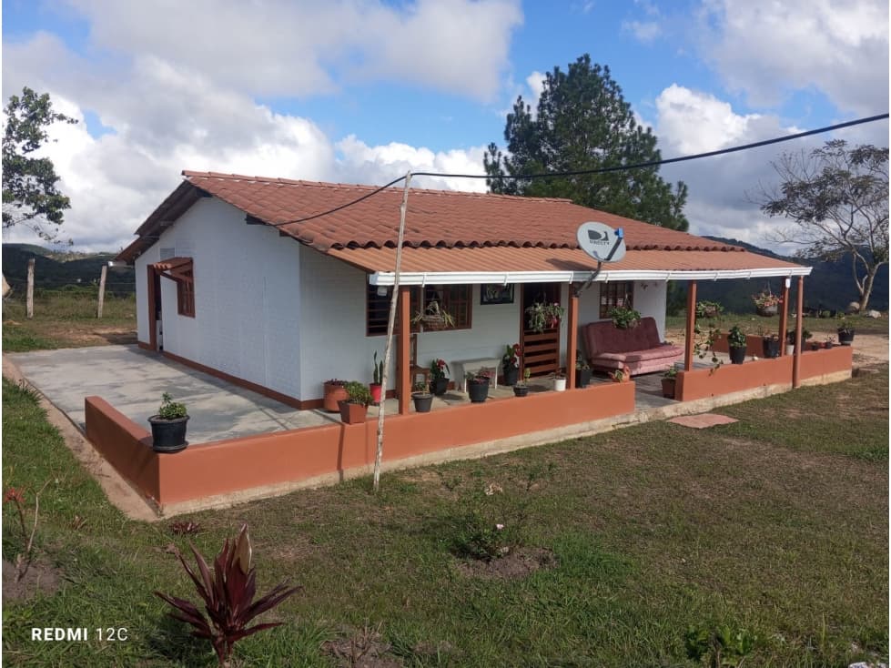 Venta de finca Amalfi vereda Risaralda - 1