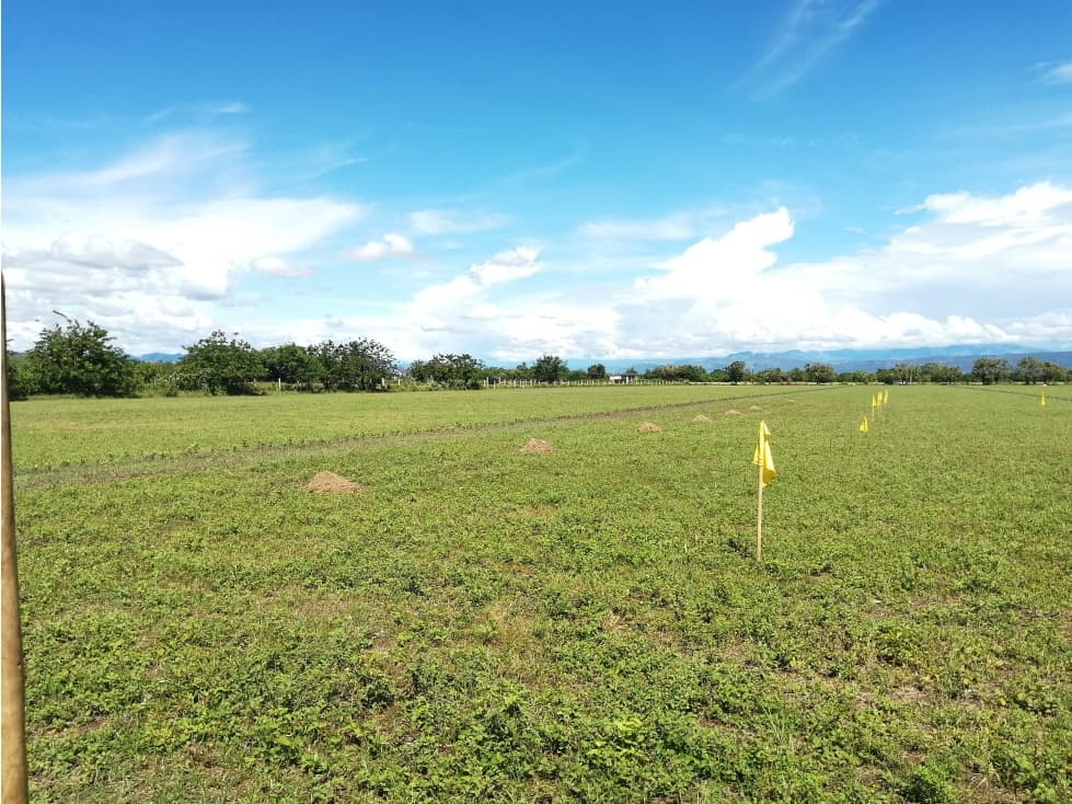 VENDO O PERMUTO LOTE EN FLANDES - 1