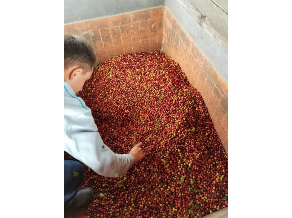 OPORTUNIDAD DE INVERSION FABRICA Y FINCA DE CAF - 1