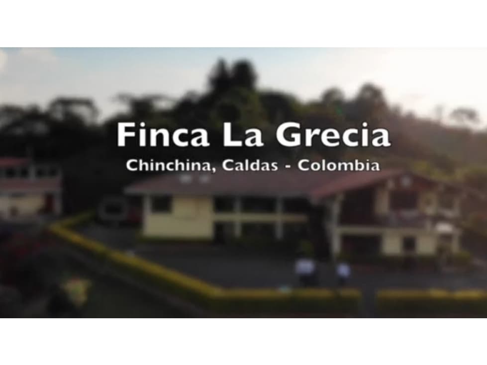 FINCA CAFETERA DE GRAN POTENCIAL EN CHINCHINA CALDAS - 1