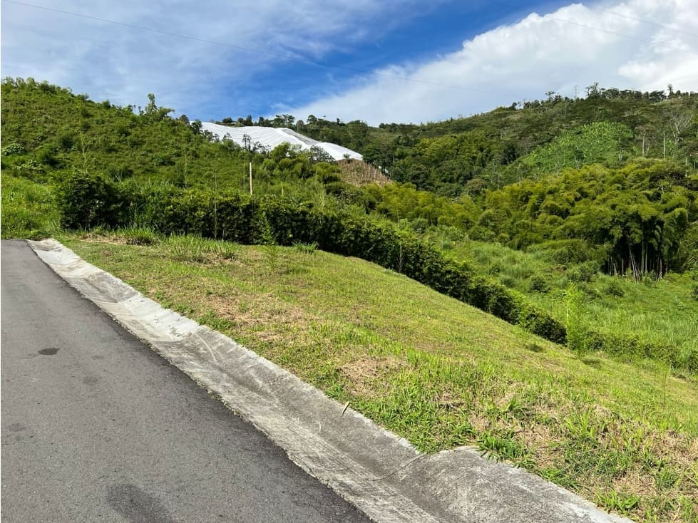 Venta de lote en Chinchiná - 1