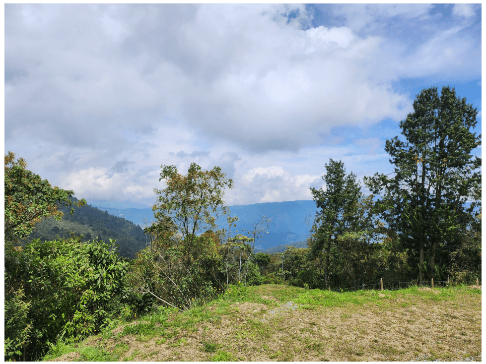 CASAFINCA EN VENTA, LA MIEL, CALDAS, ANTIOQUIA - 1