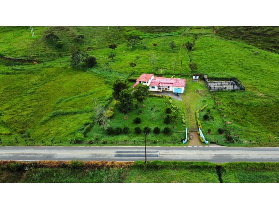 VENTA FINCA GANADERA EN URRAO ANTIOQUIA - 1