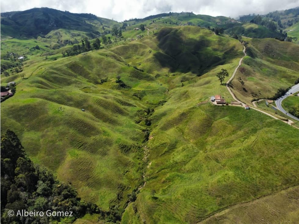 Finca Don Matías, Antioquia - Agroindustria - Se Vende - 1