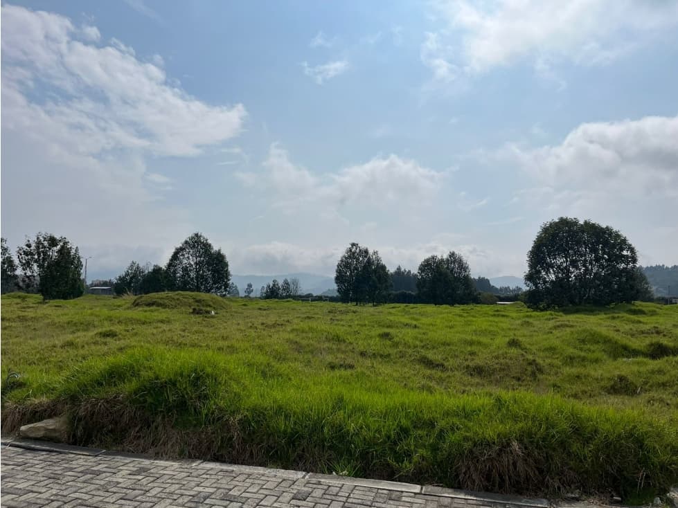 SE VENDE LOTE INDUSTRIAL 6.250 M2 - 1