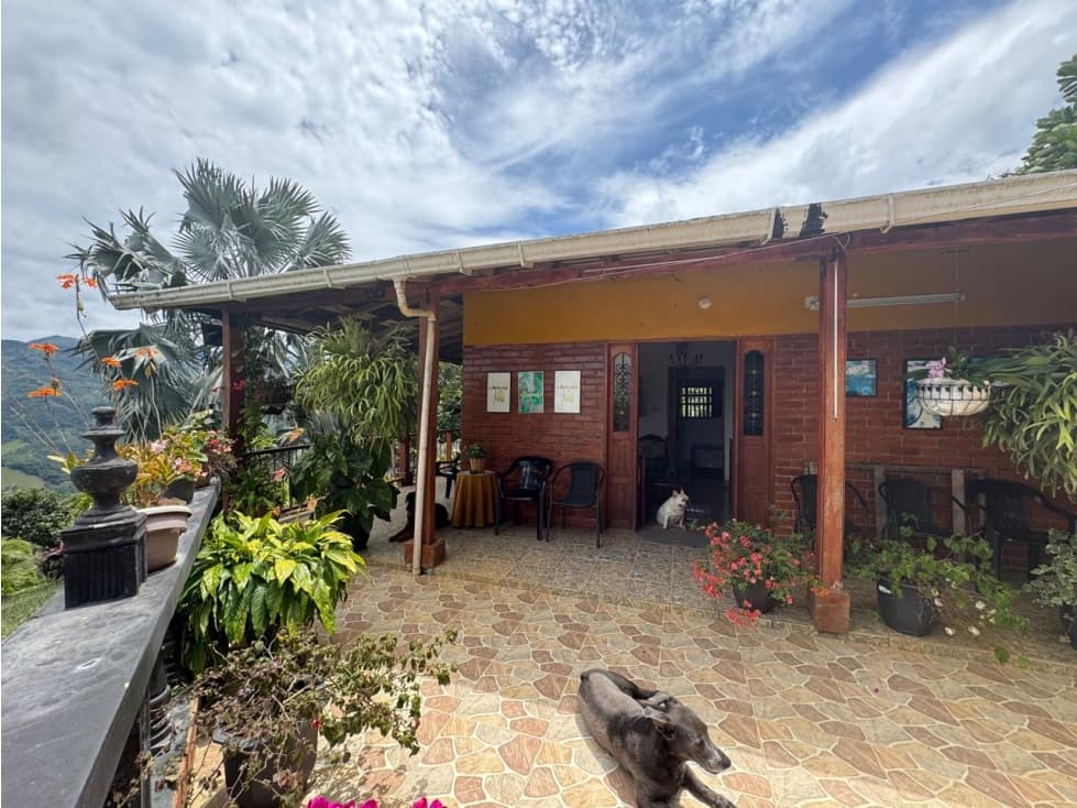 VENTA HERMOSA FINCA 11.3 HECT. YOLOMBO ANTIOQUIA - 1